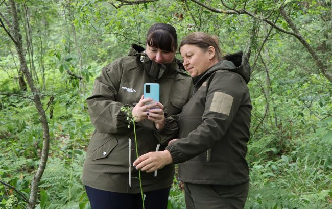 Каждый - на вес золота: украинцам показали редкий лесной цветок (фото)