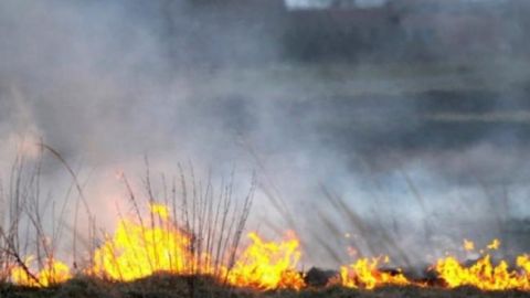 Пожежу в Чорнобильські зоні локалізовано