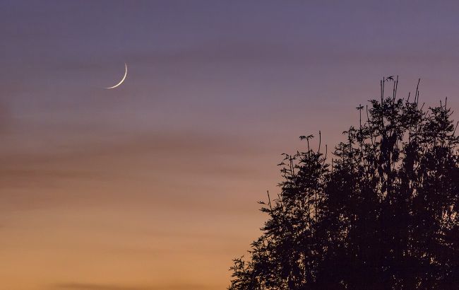 Унікальне явище раз на 10 років: коли на небі можна буде побачити "сяйво да Вінчі"