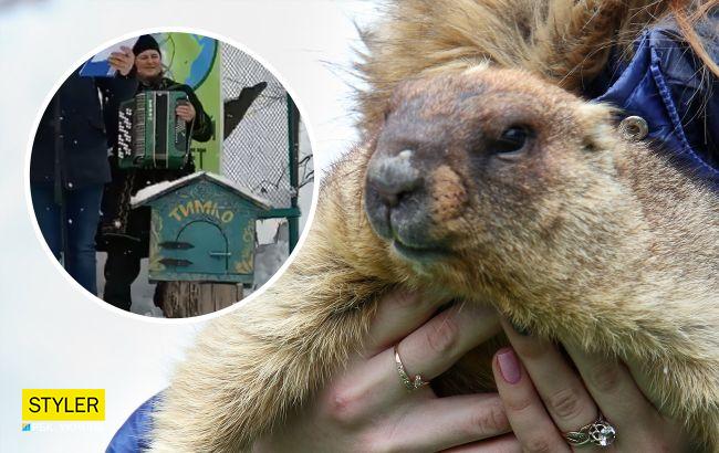 Сурок Тимка ІІІ дал прогноз на весну и назвал украинцам лучшее блюдо-антистресс