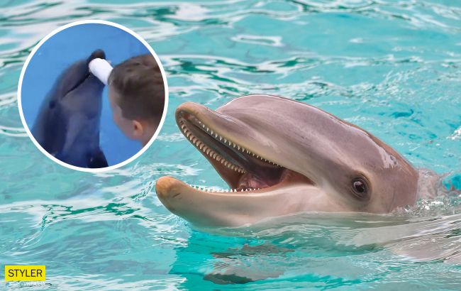 В Одесі дельфін вкусив маленьку дитину: інцидент отримав несподіване продовження