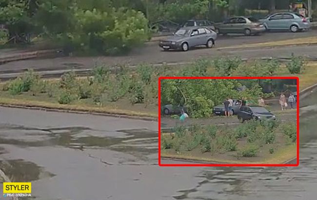 В Мелитополе огромное дерево рухнуло на проезжавшее авто: момент попал на видео