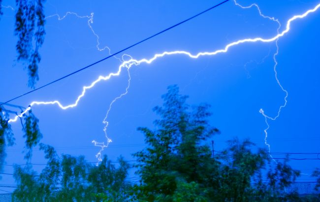 5 деревьев, которые чаще всего притягивают молнию: никогда не сажайте их возле дома!