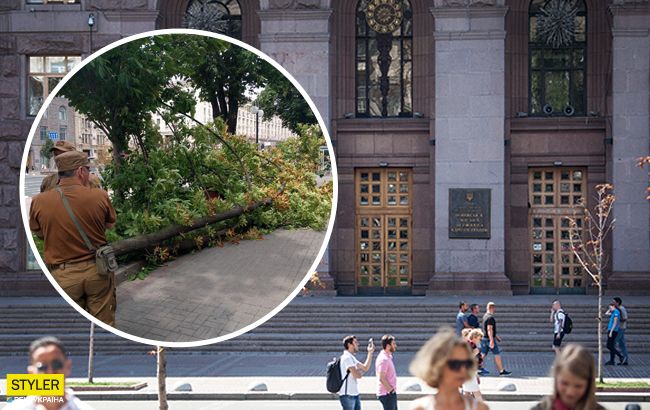 Ветер повалил огромный каштан на Крещатике: фото ЧП под Киеврадой