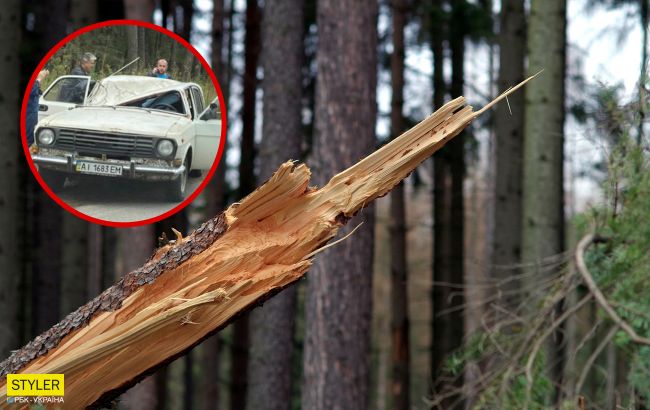 В Киеве дерево убило водителя "Волги": фото с места трагического ЧП