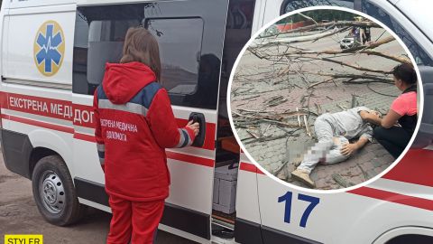 У Дніпрі сухе дерево впало на чоловіка: зламані обидві ноги