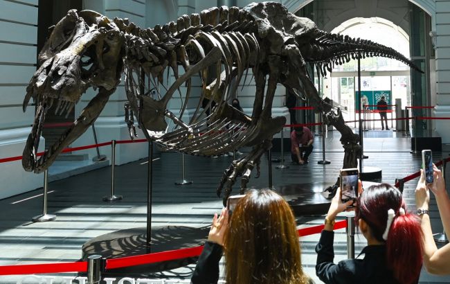 Чому на Землі більше немає таких величезних тварин, як динозаври?