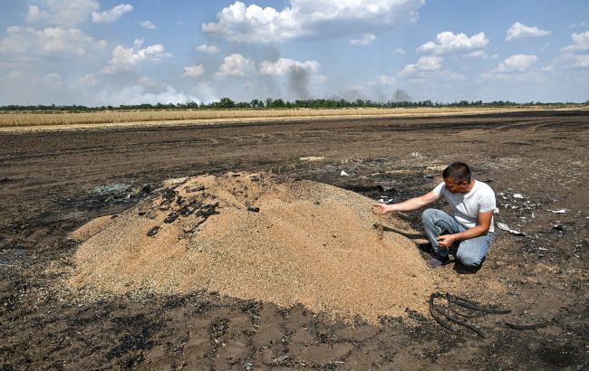 Дрон упал на огород и уничтожил урожай: юрист объяснил, можно ли получить компенсацию