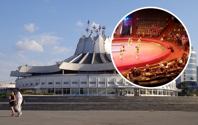 В Днепре цирк приютил коллег из оккупированных регионов: выступают животные-беженцы и раненый клоун