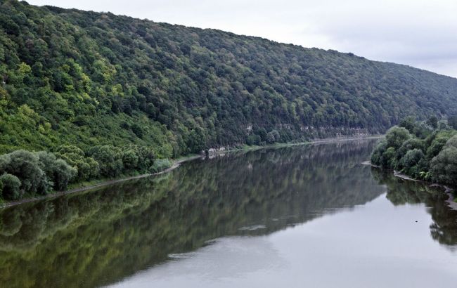 Украина и Молдова построят мост через Днестр