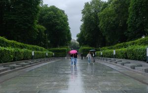 Дощі та грози по всій Україні, крім одного регіону: кого омине негода сьогодні