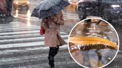 Мокрый снег с дождем и штормовой ветер ударят по Украине: кому не повезет с погодой