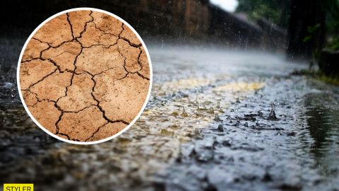 Раскалит до +40, а потом затянет дождями: синоптики ошарашили погодой на август