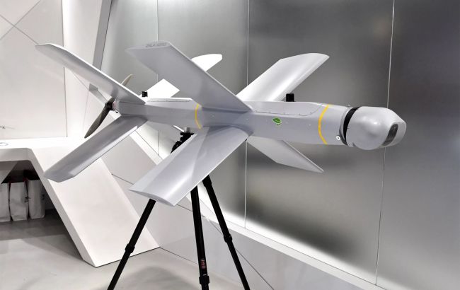 "Шансов - ноль": Флеш объяснил, зачем РФ потратила 40 "Ланцетов" для атаки Киева