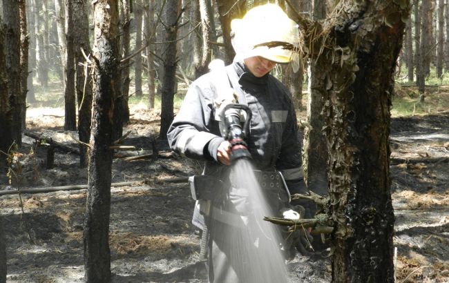 Лісову пожежу в Херсонській області локалізовано, - ДСНС