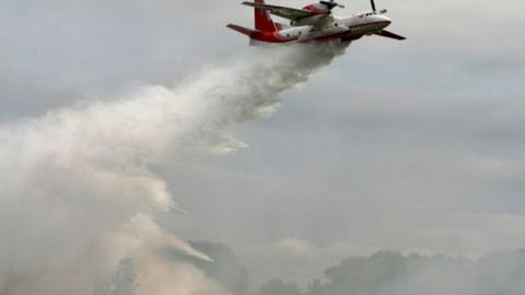 Пожежу в Чорнобильській зоні ліквідовано