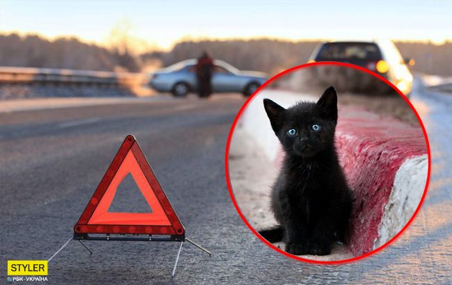 Настоящий человек: водитель спасал котенка и погиб в ДТП в Киеве (видео 18+)