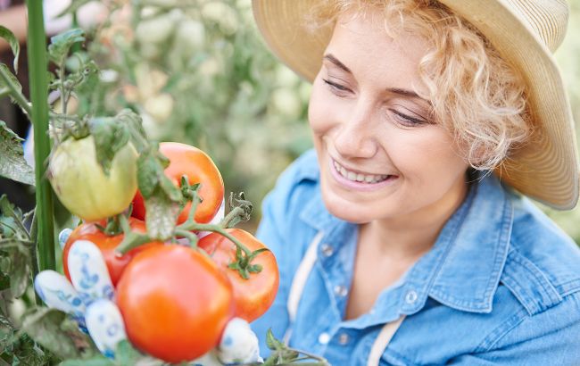 Никакой химии! Этот простой способ повысит урожай на огороде в разы