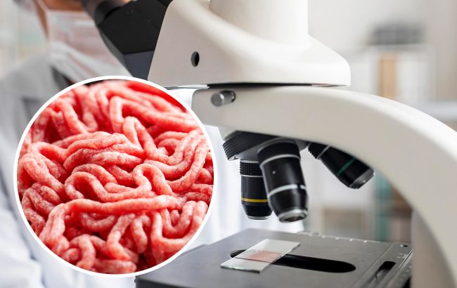 Хімік перевірив магазинний фарш на наявність сальмонели. Результат дещо шокує (відео)