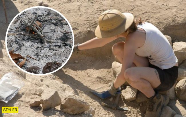 Археологи разгадали тайну 300-тысячелетней консервации: еда точно не испортится