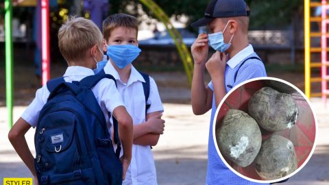 В школах Николаева разразился скандал: детям подсовывали заплесневелые продукты