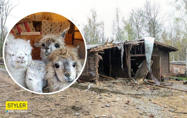 Мавпи вмирали від розриву серця: росіяни знищили унікальний Feldman Ecopark під Харковом