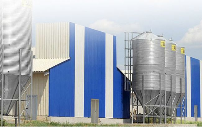 Украинские яйца от "Авангарда" получили сертификат соответствия Halal