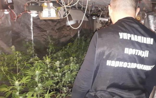 В Киеве полиция разоблачила группу, которая организовала нарколаборатории