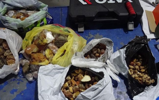 На кордоні з Польщею затримали чоловіка з понад 20 кг бурштину