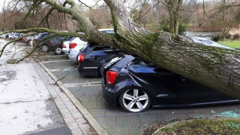 На западе Германии приостановили движение поездов из-за урагана