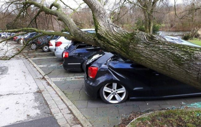 На западе Германии приостановили движение поездов из-за урагана