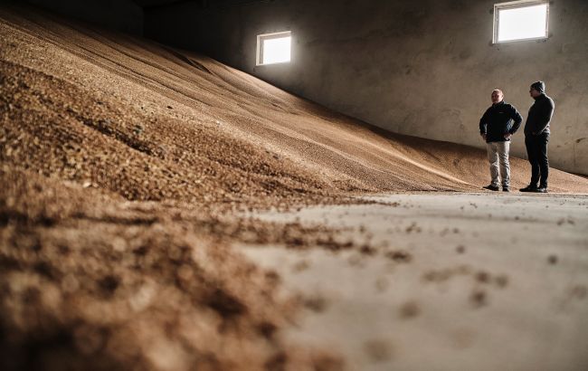 Кабмин одобрил новые правила экспорта зерна: что изменилось