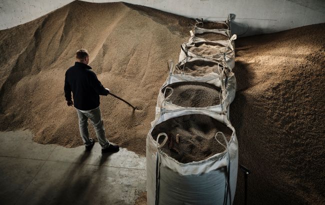 В Чехии предложат запретить импорт российского зерна в Европу