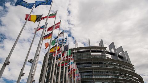 Европарламент поддержал Крымскую платформу: страны ЕС должны содействовать