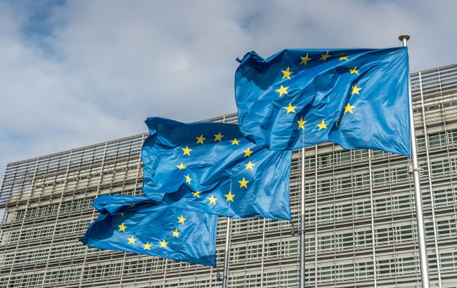 В ЕС предложили передать замороженные активы РФ новой структуре, - FAZ
