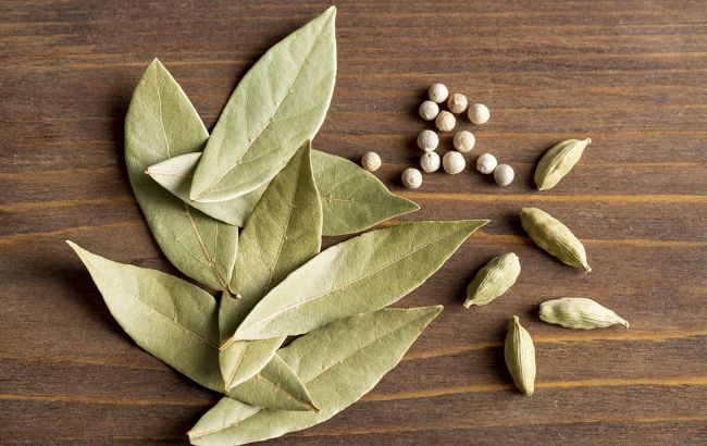 Навіщо класти лавровий лист на полиці та в книги: відповідь вас здивує
