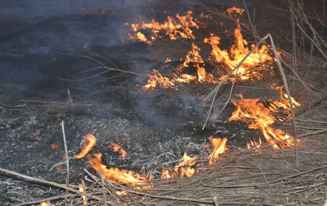 Возле аэропорта "Львов" из-за поджога сухой травы загорелся газопровод