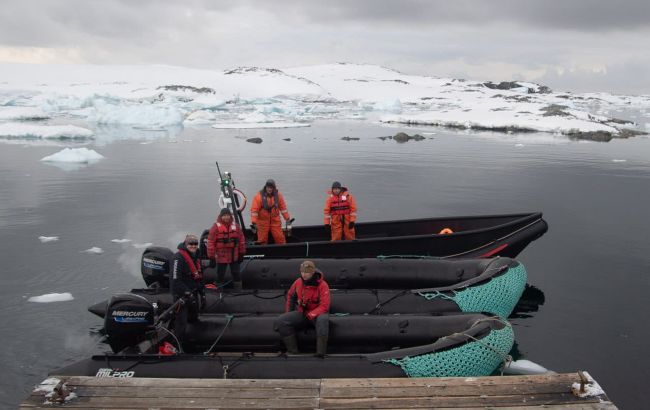 Існує серйозна загроза: кого українські полярники не можуть брати з собою в Антарктиду