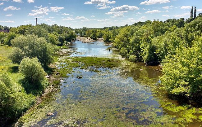 У Хмельницькій області у річці масово гине риба: масляні плями та запах аміаку (фото)