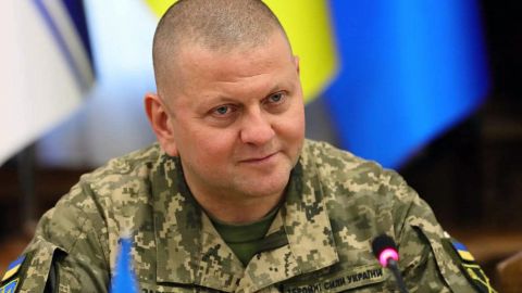 "Не становитесь инструментом". Залужный призвал блогеров не оценивать боевые действия