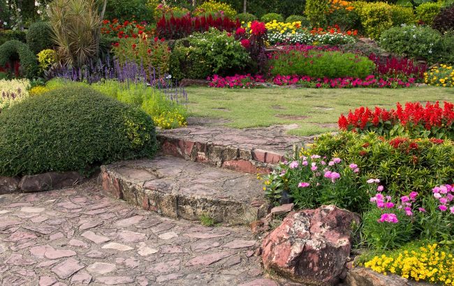 Королівські клумби: садівник Чарльза III назвав три найкращі рослини для буйного цвіту