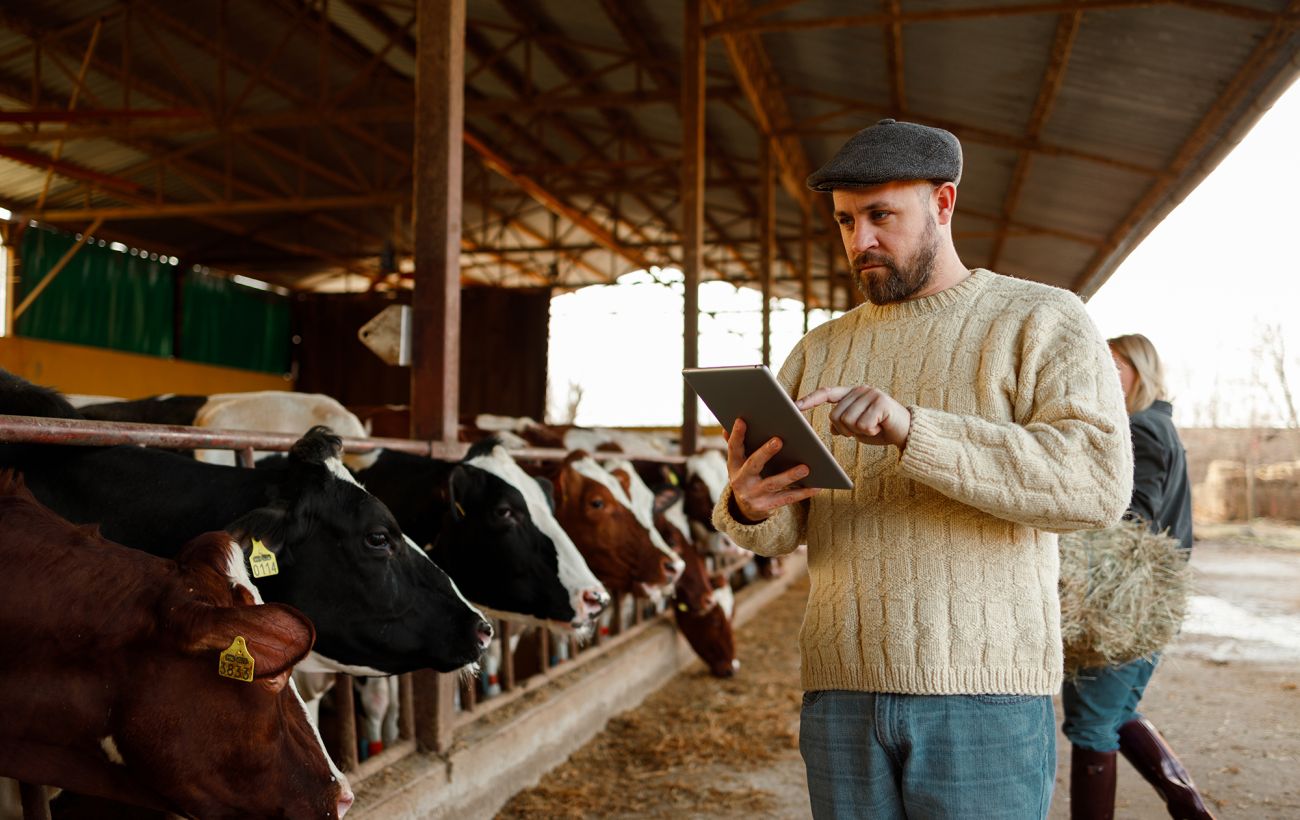 Нові правила з 1 січня: кому й навіщо потрібно отримати сертифікат з благополуччя тварин