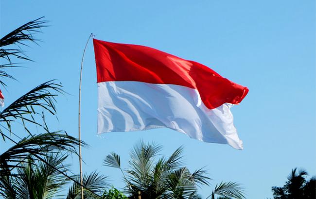 В Индонезии затонул паром: один человек погиб, десятки пропали без вести
