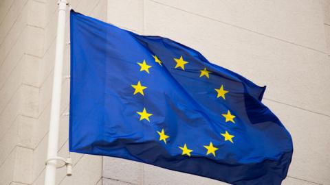 ЕС не признает выборы в аннексированном Крыму и Севастополе