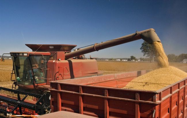 Оккупанты вывезли из Луганской области почти трехлетний запас зерна