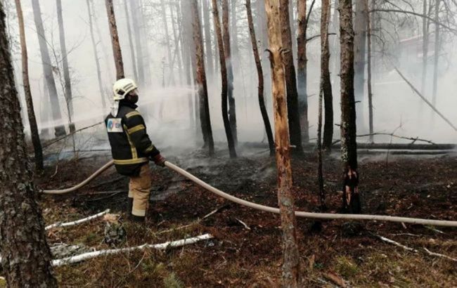 На Донбассе загорелся лес в серой зоне, при тушении нашли патроны и мину