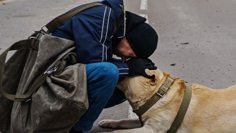 Це фото з Ірпеня прямо зараз облітає увесь світ, зворушуючи людей до сліз