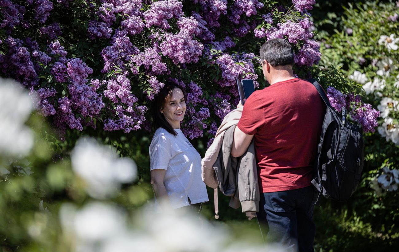 Магнолії та бузок у Києві: чи не пошкодили морози головні символи Ботсаду Гришка