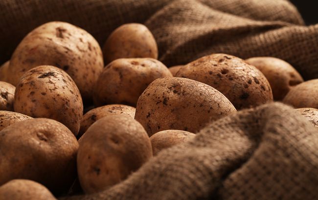 Украинцам рассказали, что будет с ценами на картофель