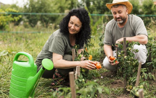 Що потрібно садити в липні: урожай встигнете зібрати до осені